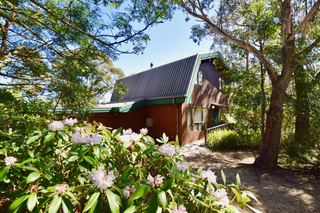 Sublime Cedar Lodge Leura Exterior foto